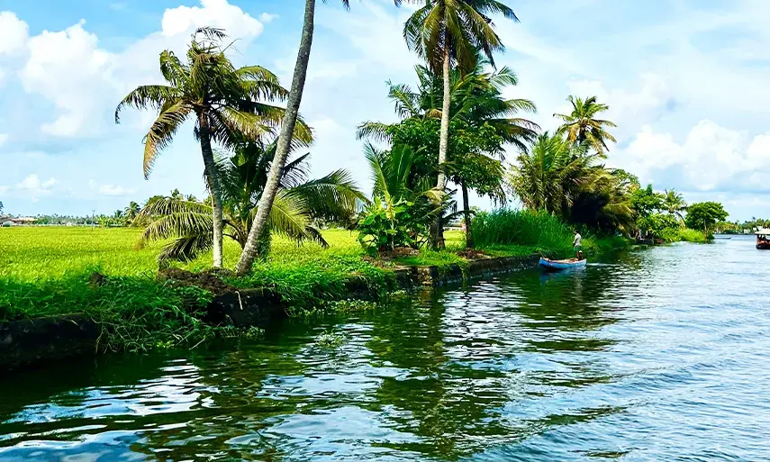 1-Day Munnar Tour Package | Tea Plantations & Scenic Waterfalls