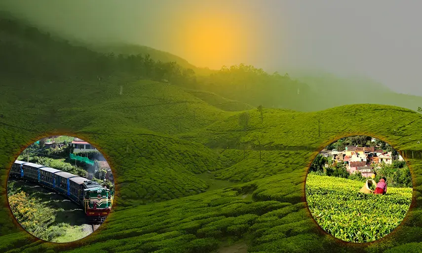 1-Day Ooty Tour Package from Madurai | Botanical Garden & Ooty Lake